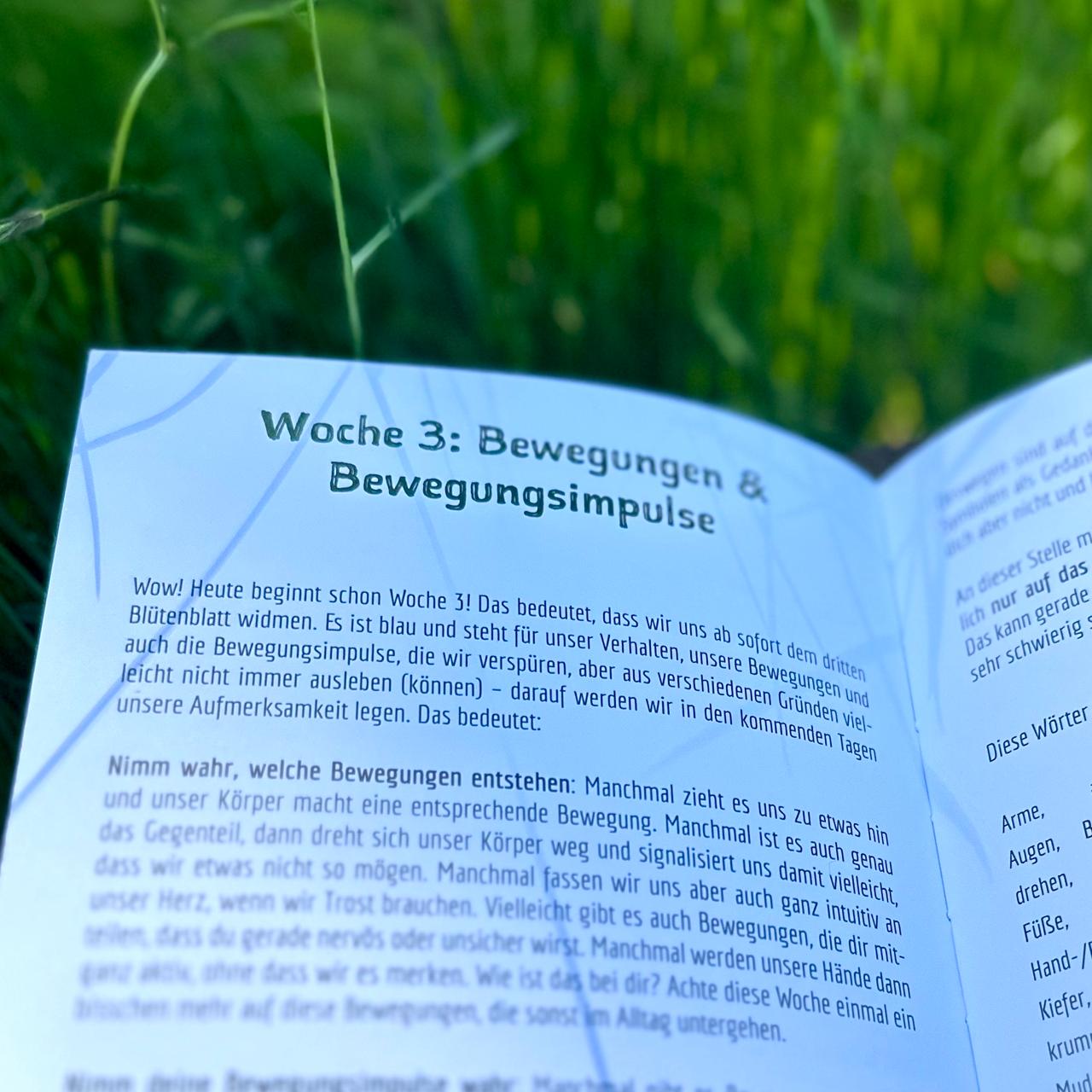 Sieben Wochen Somatische Achtsamkeit®