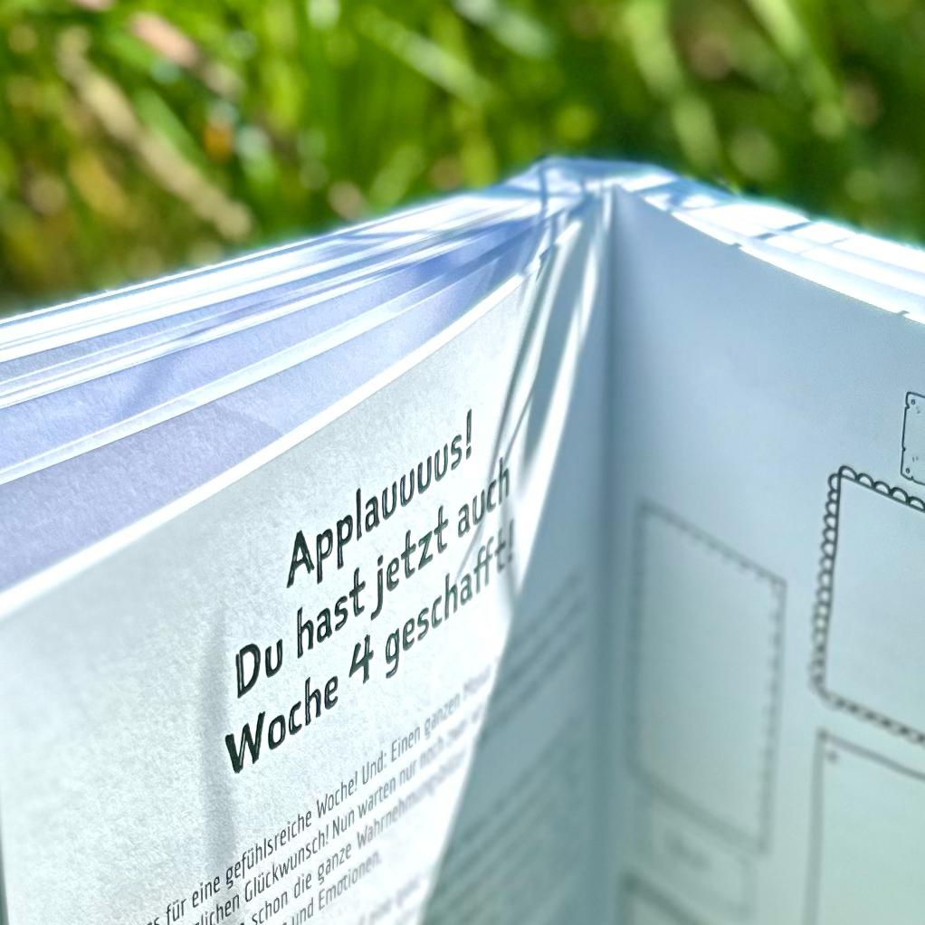 Sieben Wochen Somatische Achtsamkeit®
