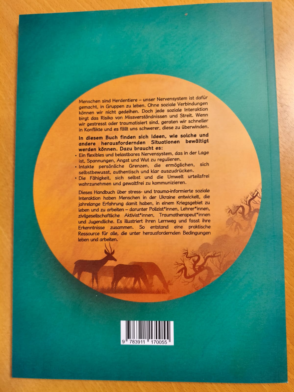 Ich kann das! - Comic Manual für die zivilgesellschaftliche Arbeit mit Geflüchteten und anderen vulnerablen Gruppen