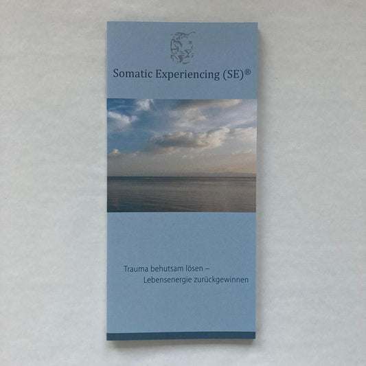 SE Klient:innenflyer